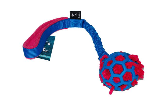 Hovedbilde Hol-ee roller S med mopp