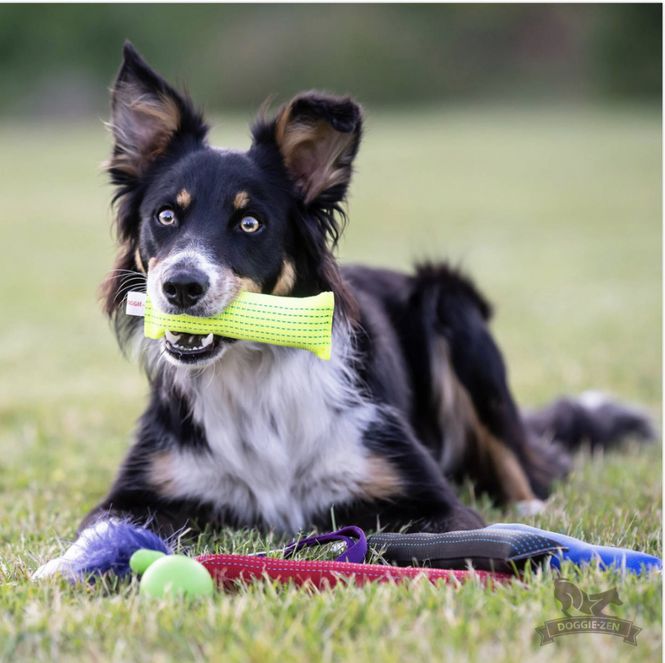 Hovedbilde Minidummies 15 x 5 cm