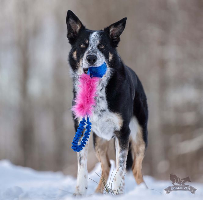 Hovedbilde Elastisk lommekampis med fuskepels og KONG ...
