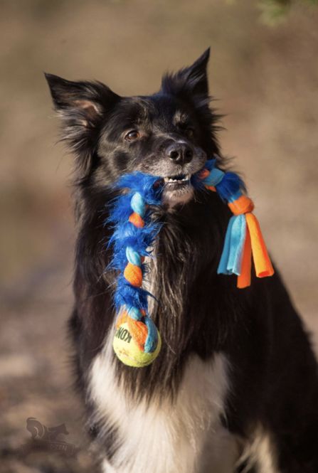 Hovedbilde Fleece- & fuskepelsflette med KONG Air pipeball