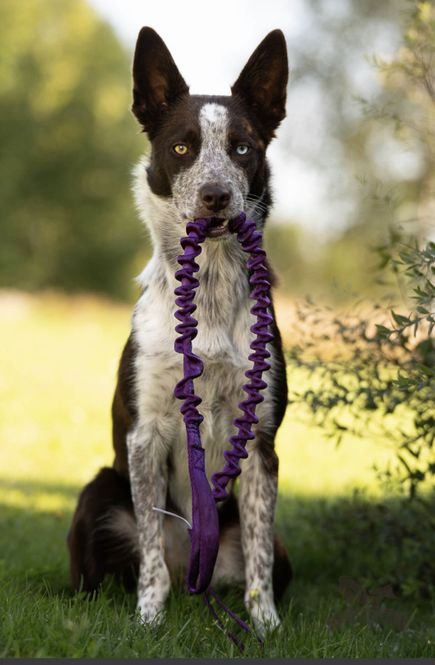 Hovedbilde Elastiskt håndtak 100 cm Størrelse L
